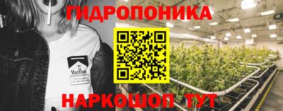 дживик Абакан