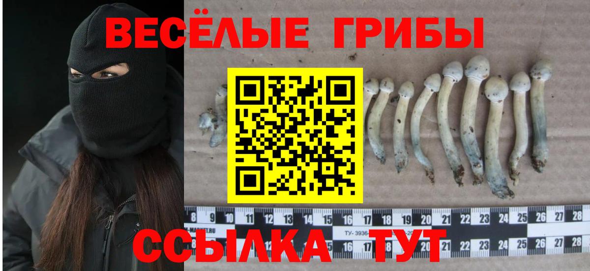 Псилоцибиновые грибы мухоморы Алейск